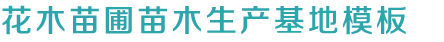 九游会入口登录